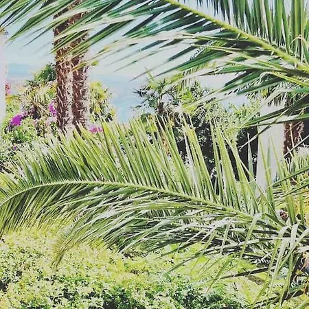 Mypalmassuite With Free Parking In *